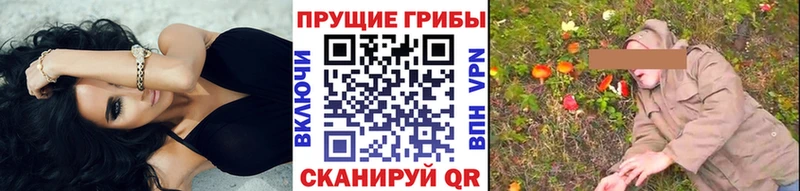 Галлюциногенные грибы GOLDEN TEACHER наркотики Ряжск